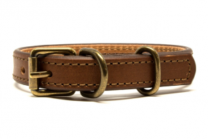 brown leather collar for dog