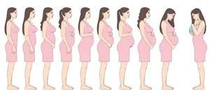 changes of body in woman during pregnancy
