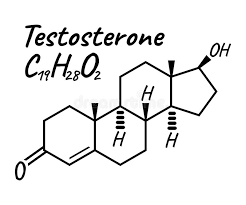 testosterone 