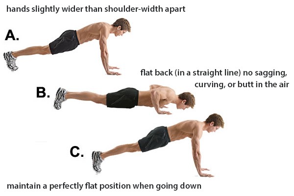 The Correct Push Up Form | Its Charming Time