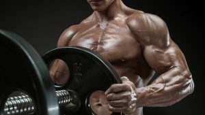 Legal Anabolic Steroids for strength by ItsCharmingTime