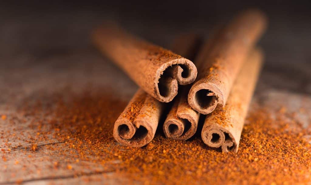 Is Cinnamon Good for Dogs