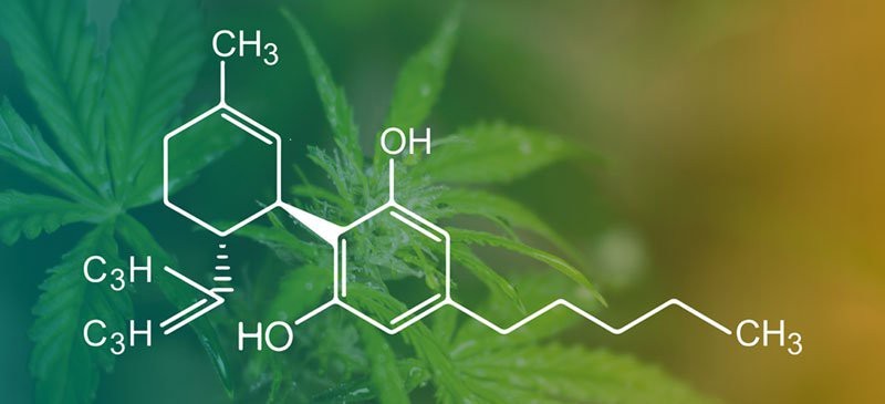 Learn About the 4 Different Ways To Consume CBD