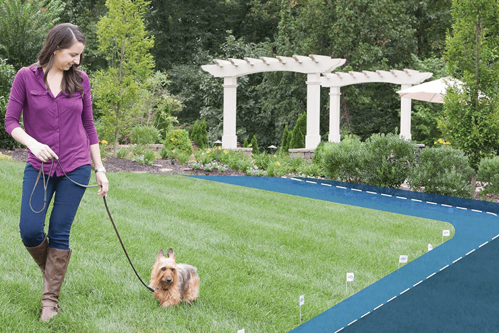 Pet protection with invisible fence