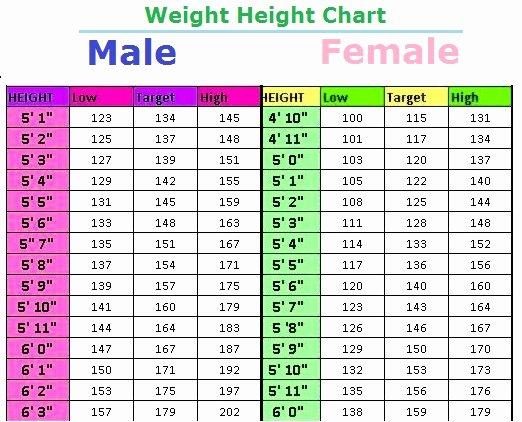 Kristjan Ceh Height And Weight
