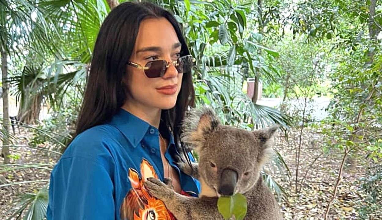 Dua Lipa holding a koala in her hands