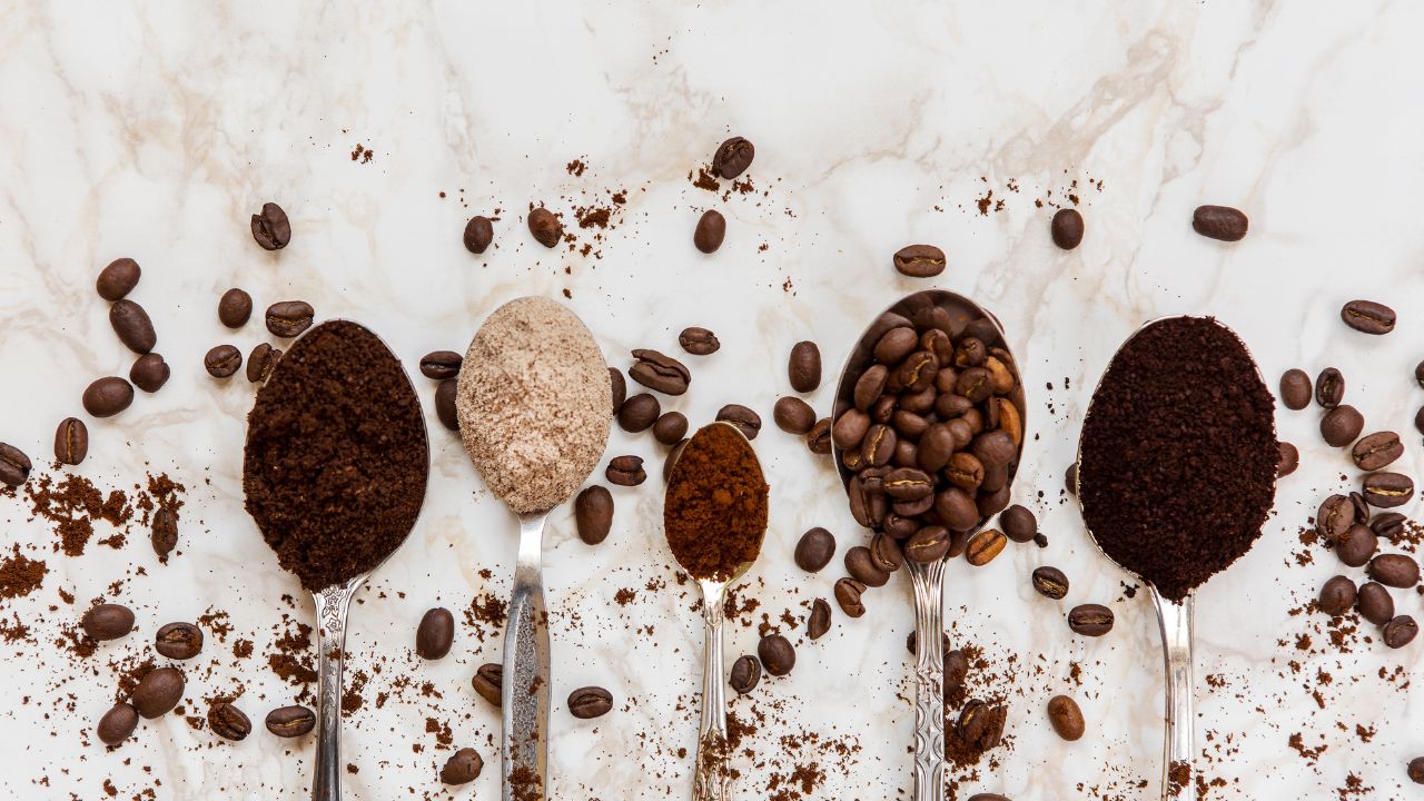 Coffee Beans in different forms 