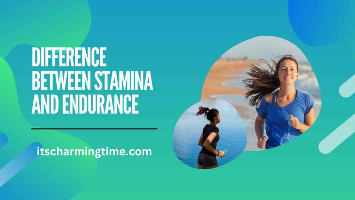 stamina endurance difference