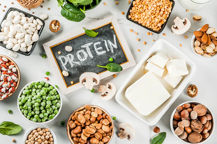 protein rich snacks for lifestyle