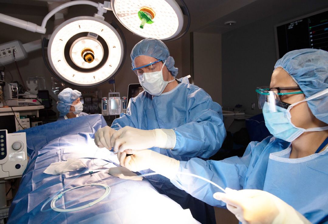 Elective Surgery in OPT