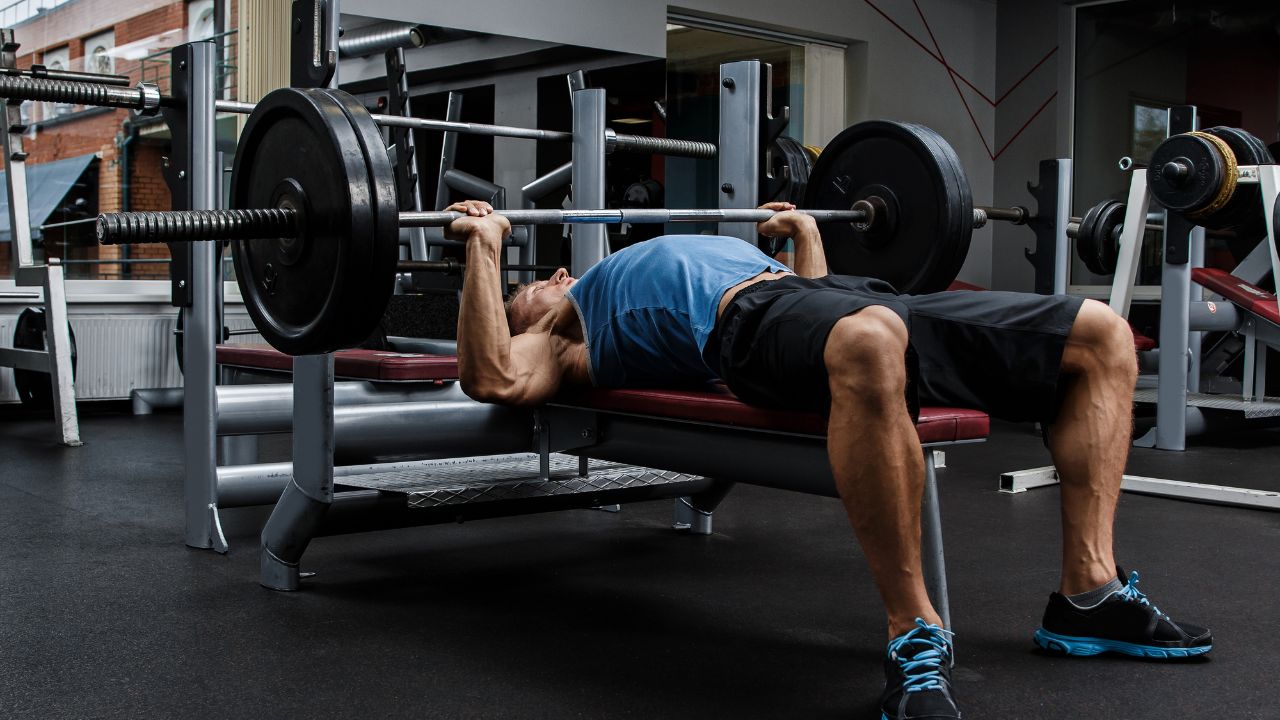 Bench Press Increases Your Muscle Mass