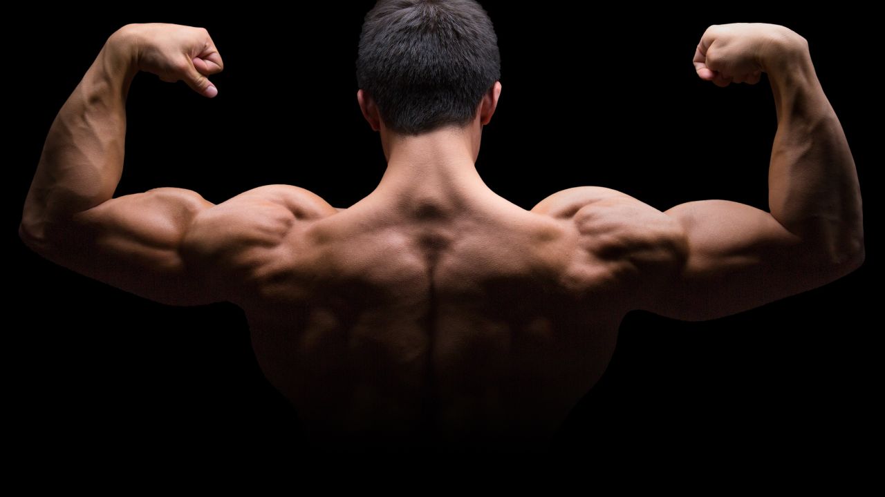 Strengthens the Serratus Muscles