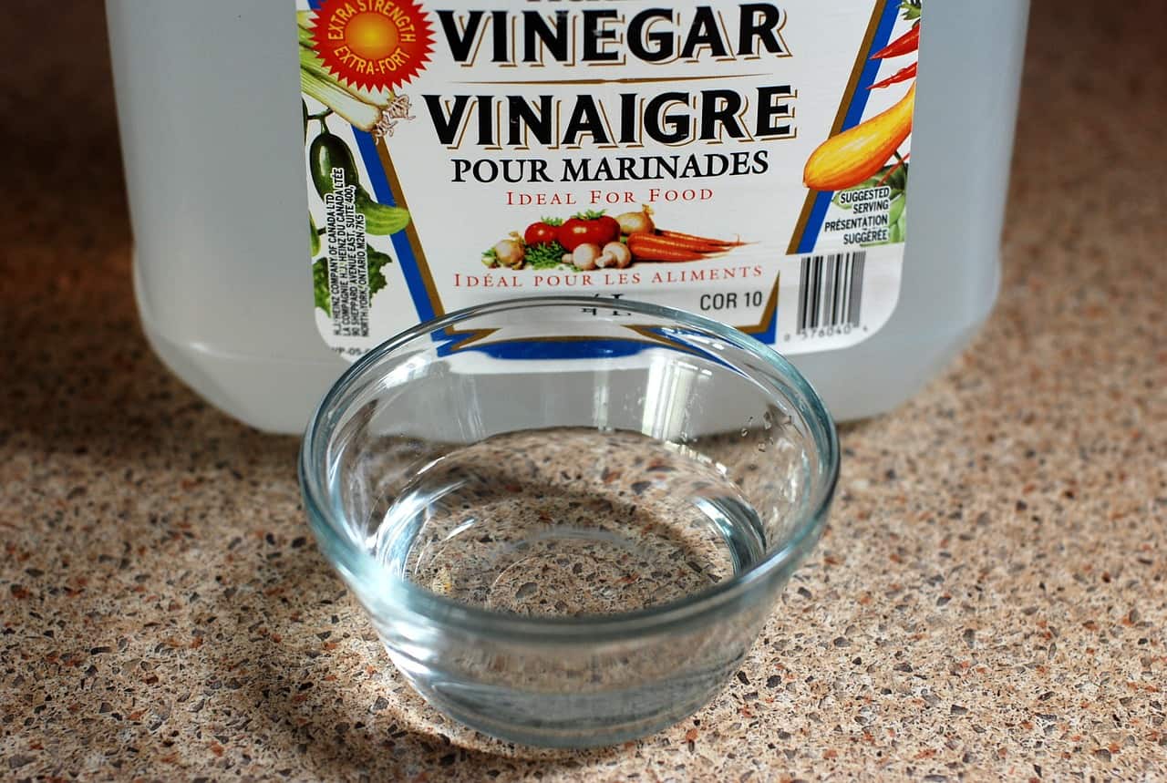 Vinegar Solution to Get Rid of Bed Bugs