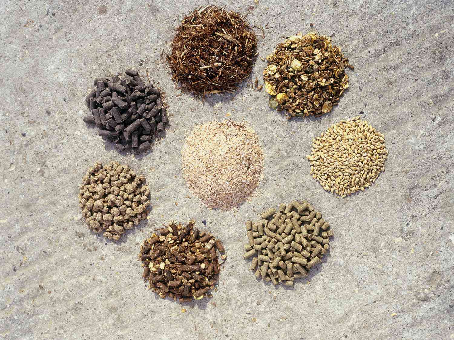 Types of Horse Feed and Their Benefits