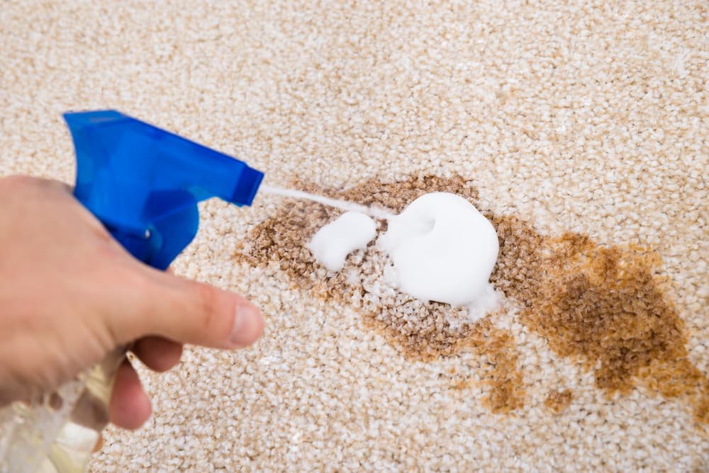 How to Remove Hair Dye Stains from the Carpet