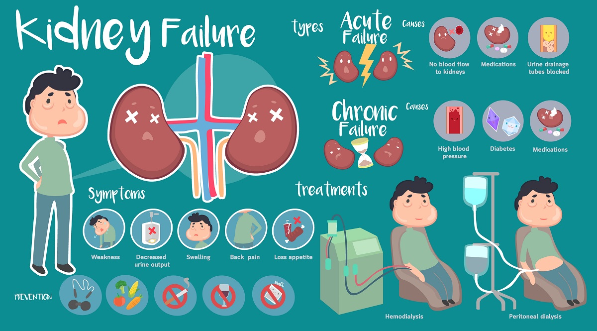 Kidney,Failure,Infographic