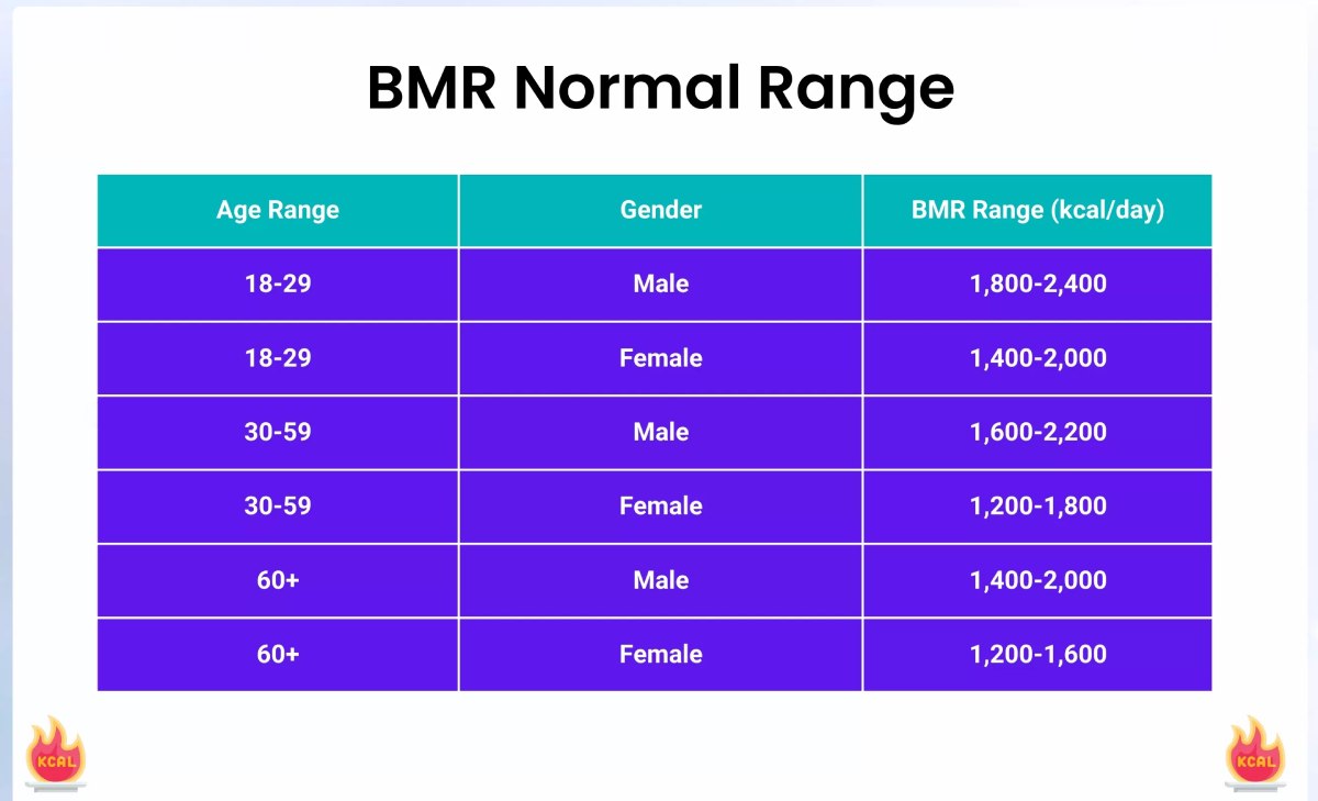Ideal BMR Values