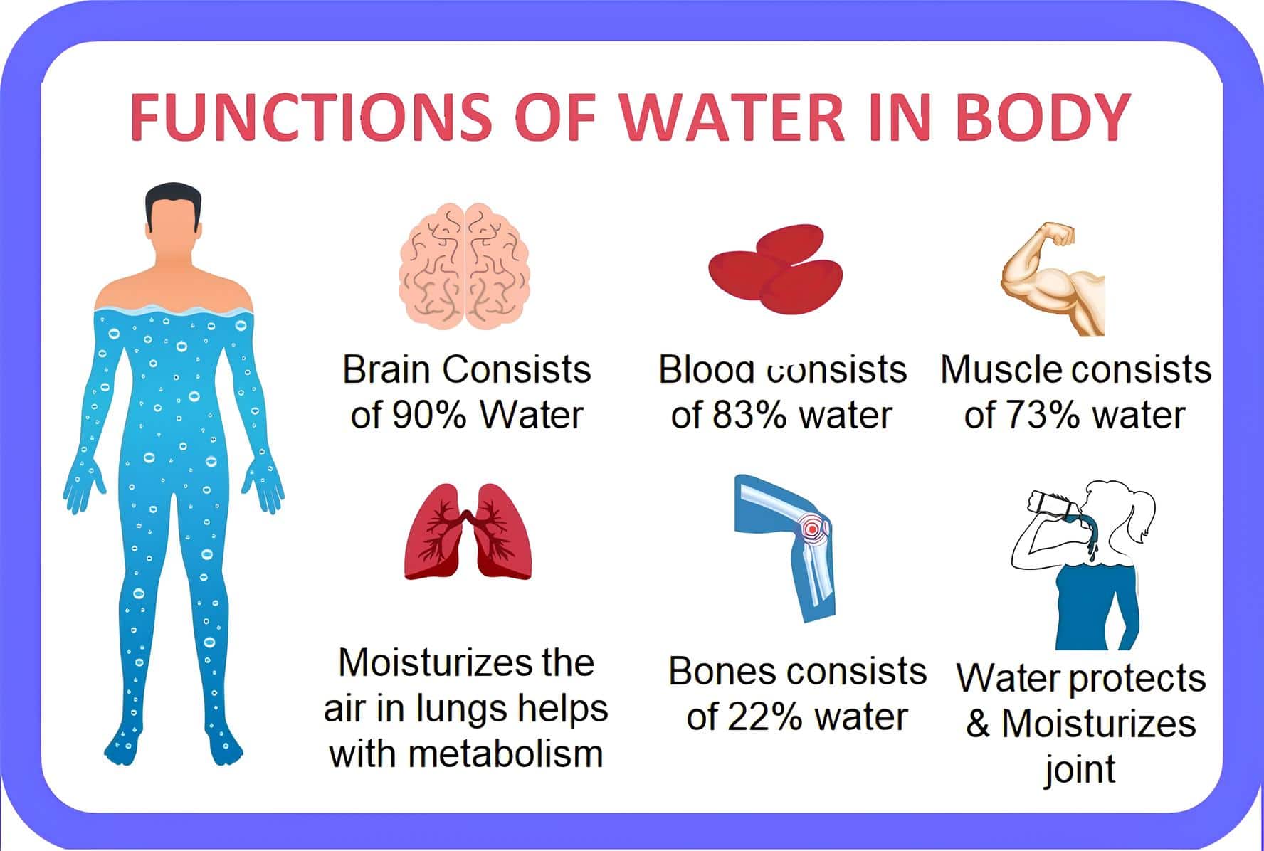 Importance of Water in Body Functioning