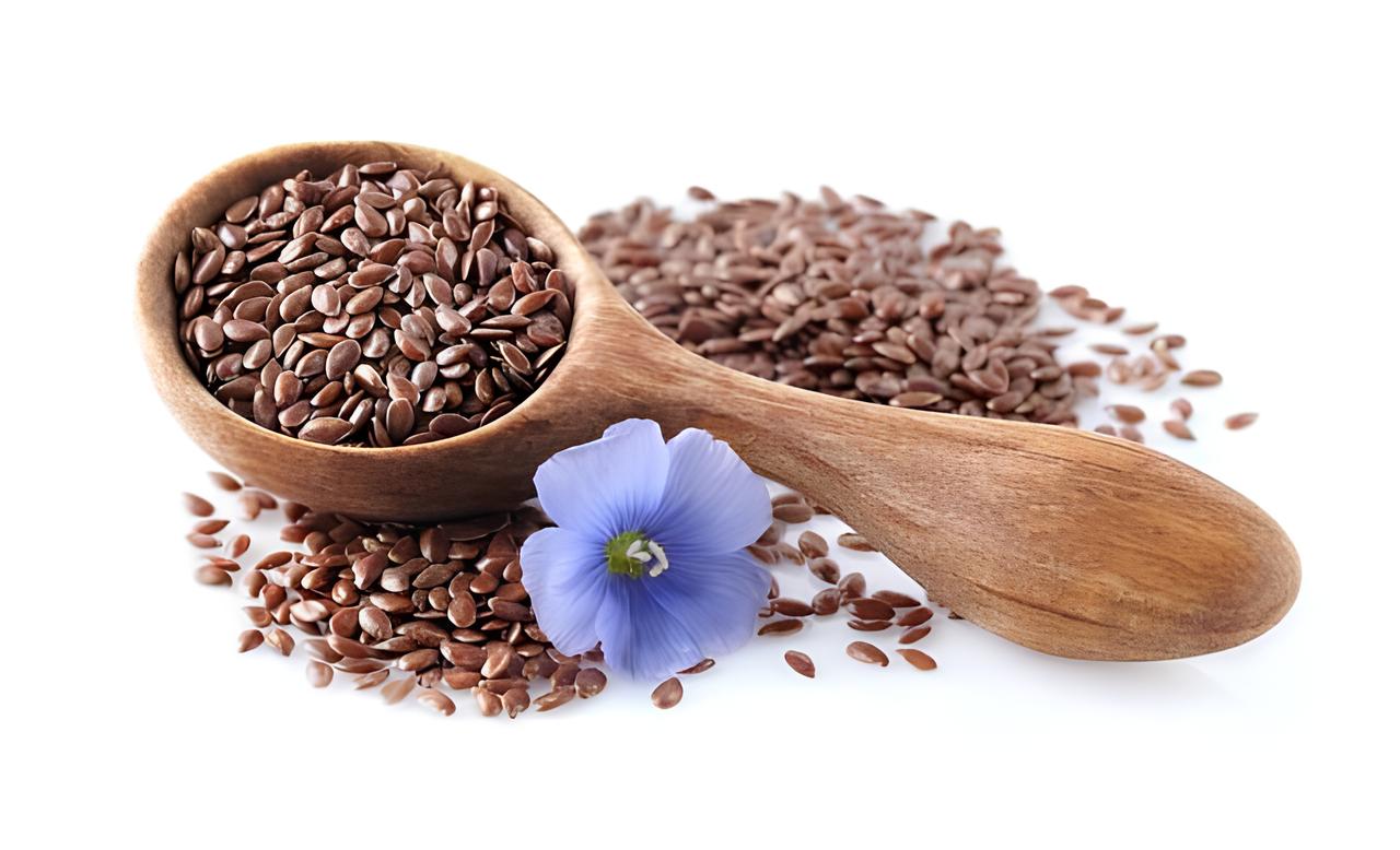 Important Facts to Know About Flax Seeds
