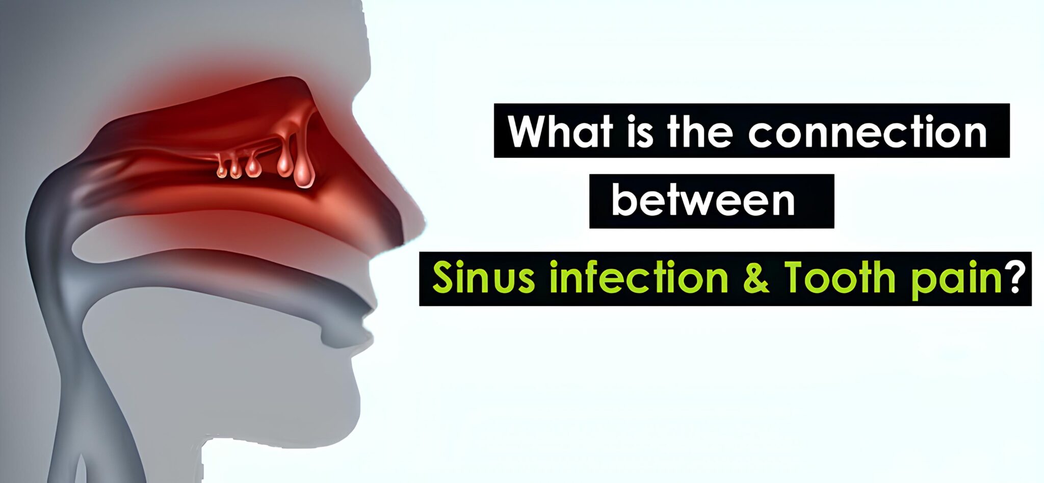 can-sinus-infections-cause-tooth-pain-most-rated-health-faq-channel