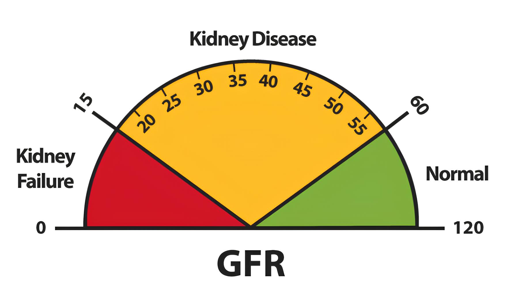 What is GFR